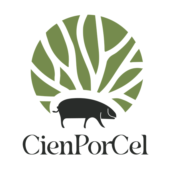 MARTÍN J TOUCEDA GONZALEZ Logo