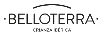 BELLOTERRA Logo