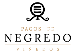 BODEGA PAGOS NEGREDO Logo