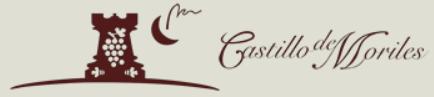 CASTILLODEMORILES Logo