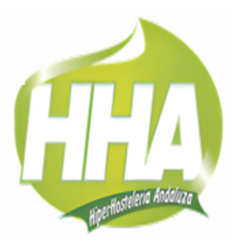 HIPER HOSTELERIA ANDALUZA Logo