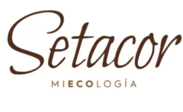 SETACOR Logo