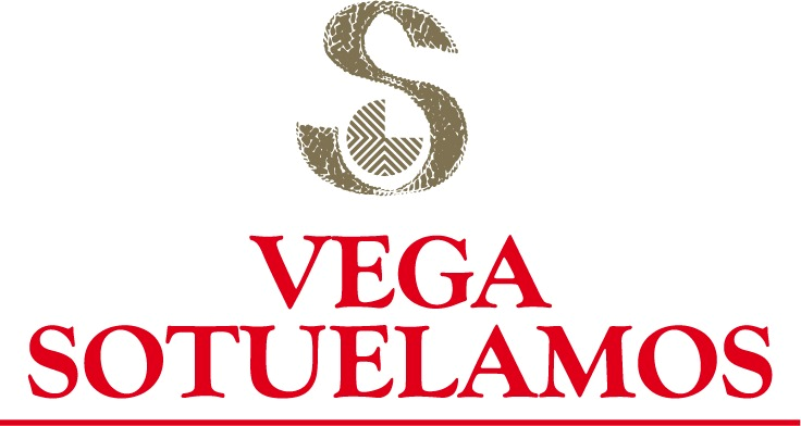 VEGA SOTUELAMOS Logo