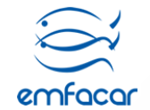 EMFACAR Logo
